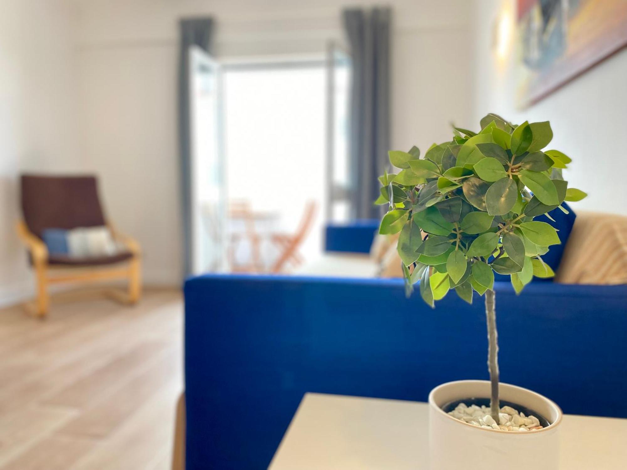 Apartamento 2M - Praia Do Carvoeiro Carvoeiro  Exteriör bild
